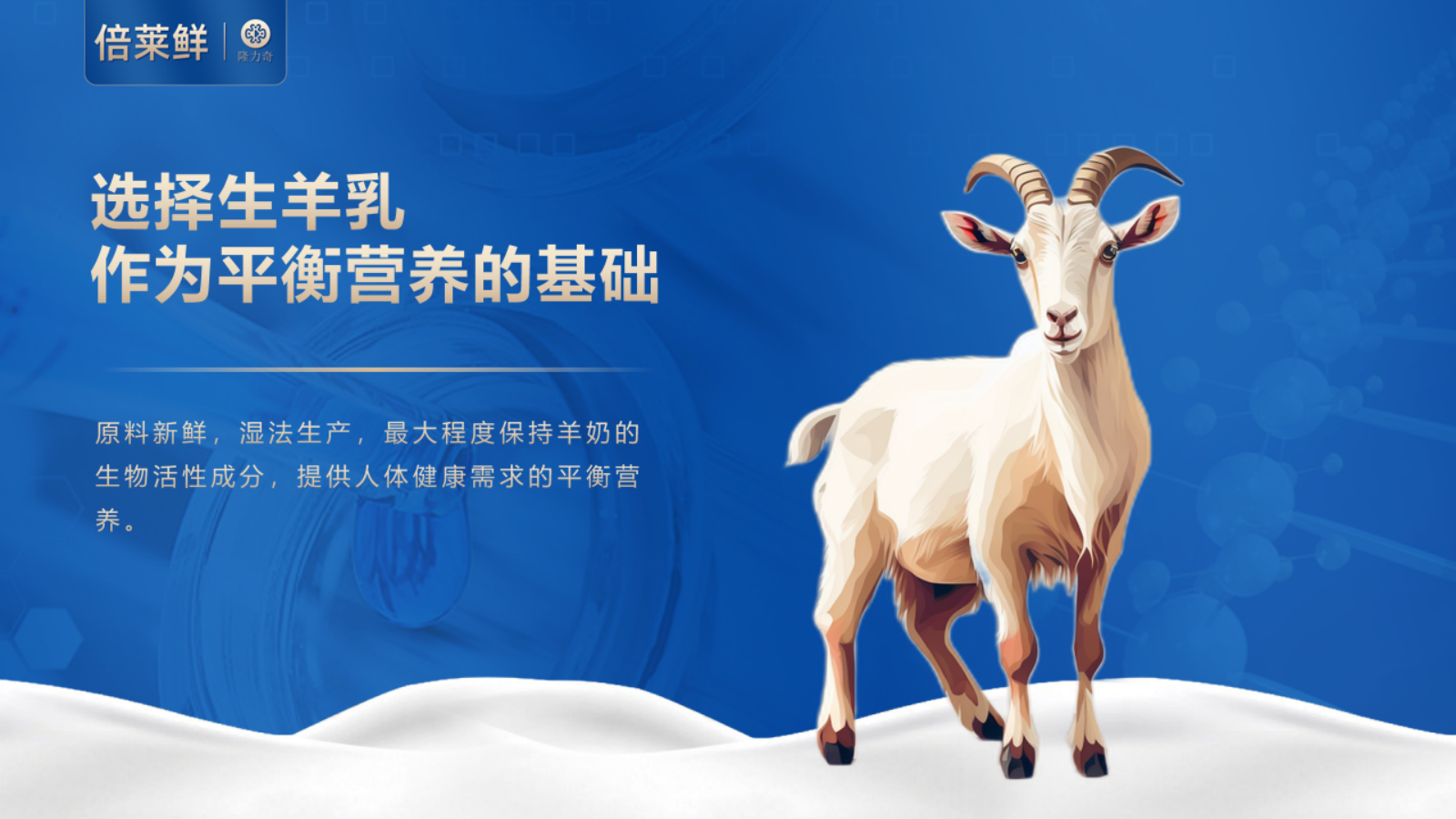 倍莱鲜-元宝枫益生菌多肽羊乳粉2025(1)_1769477621_05.png
