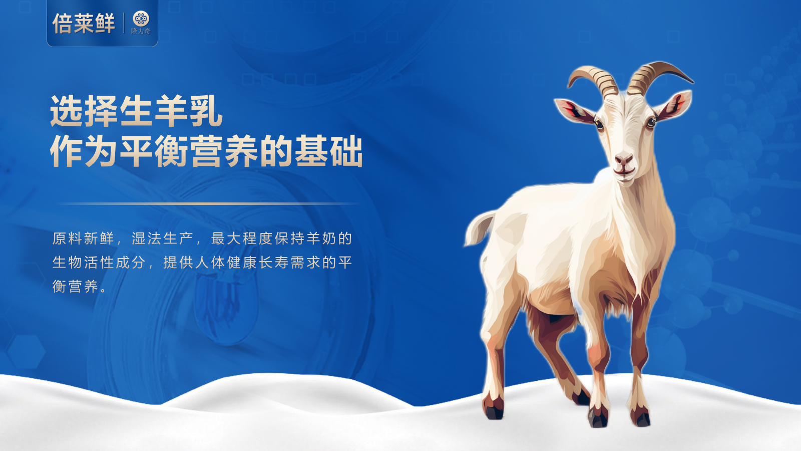 倍莱鲜 白芸豆提取物乳酸菌羊乳粉运动营养食品（耐力类）2025_05.png