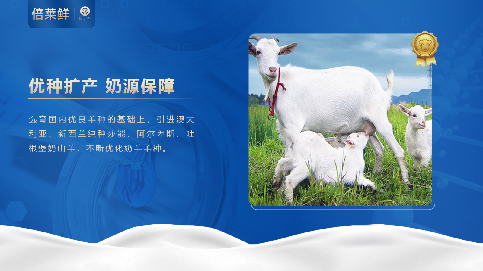 倍莱鲜 白芸豆提取物乳酸菌羊乳粉运动营养食品（耐力类）2025_16.png