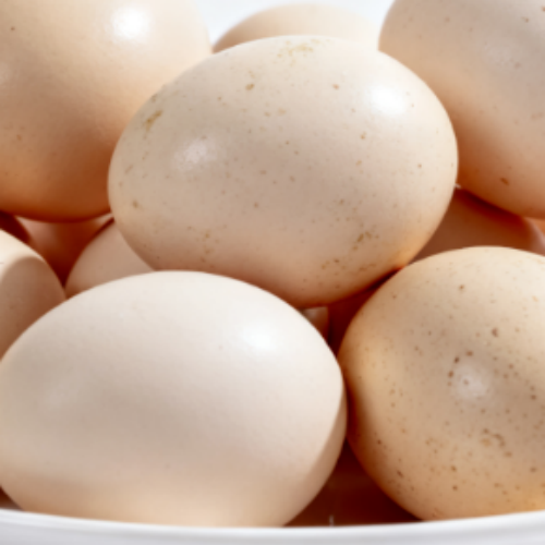 麻城鸡蛋/预售订购单