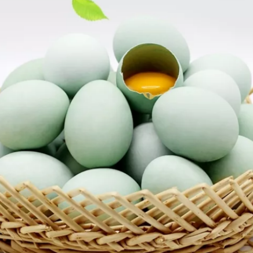 麻城鸡蛋/预售订购单