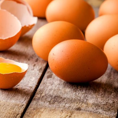 铜州鸡蛋/预售订购单