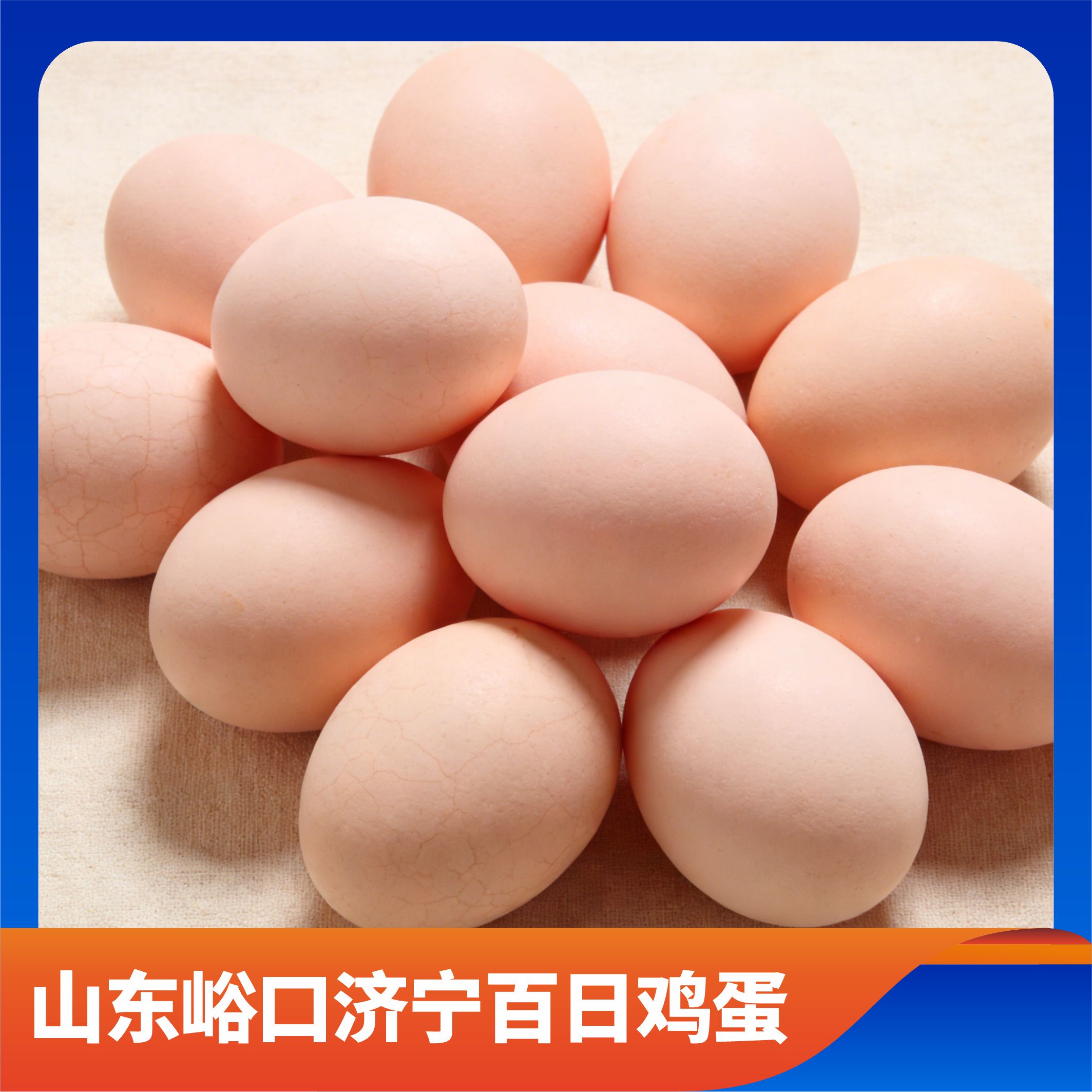 济宁百日鸡蛋/预售订购单