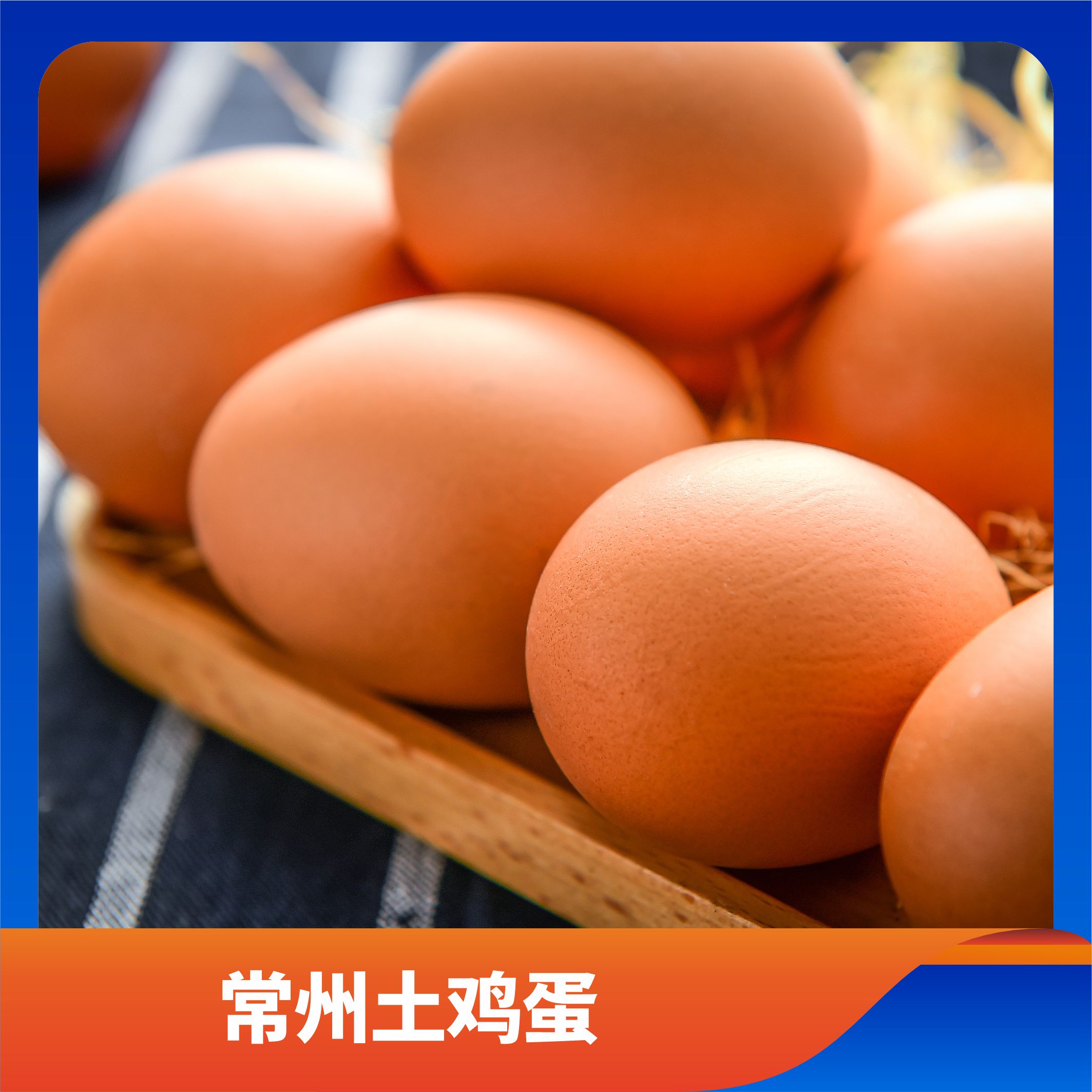 常州土鸡蛋/预售订购单
