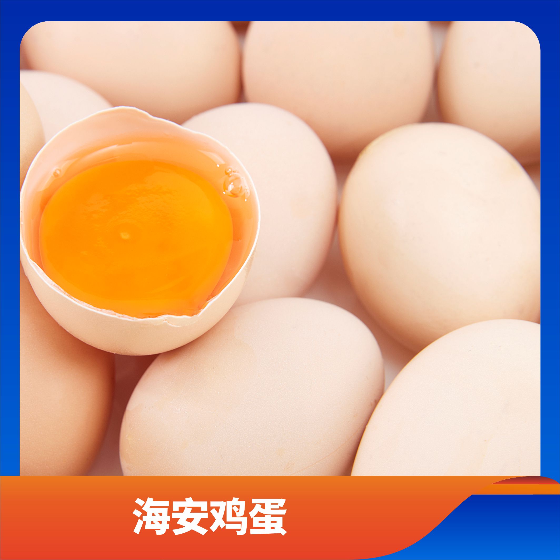 海安鸡蛋/预售订购单