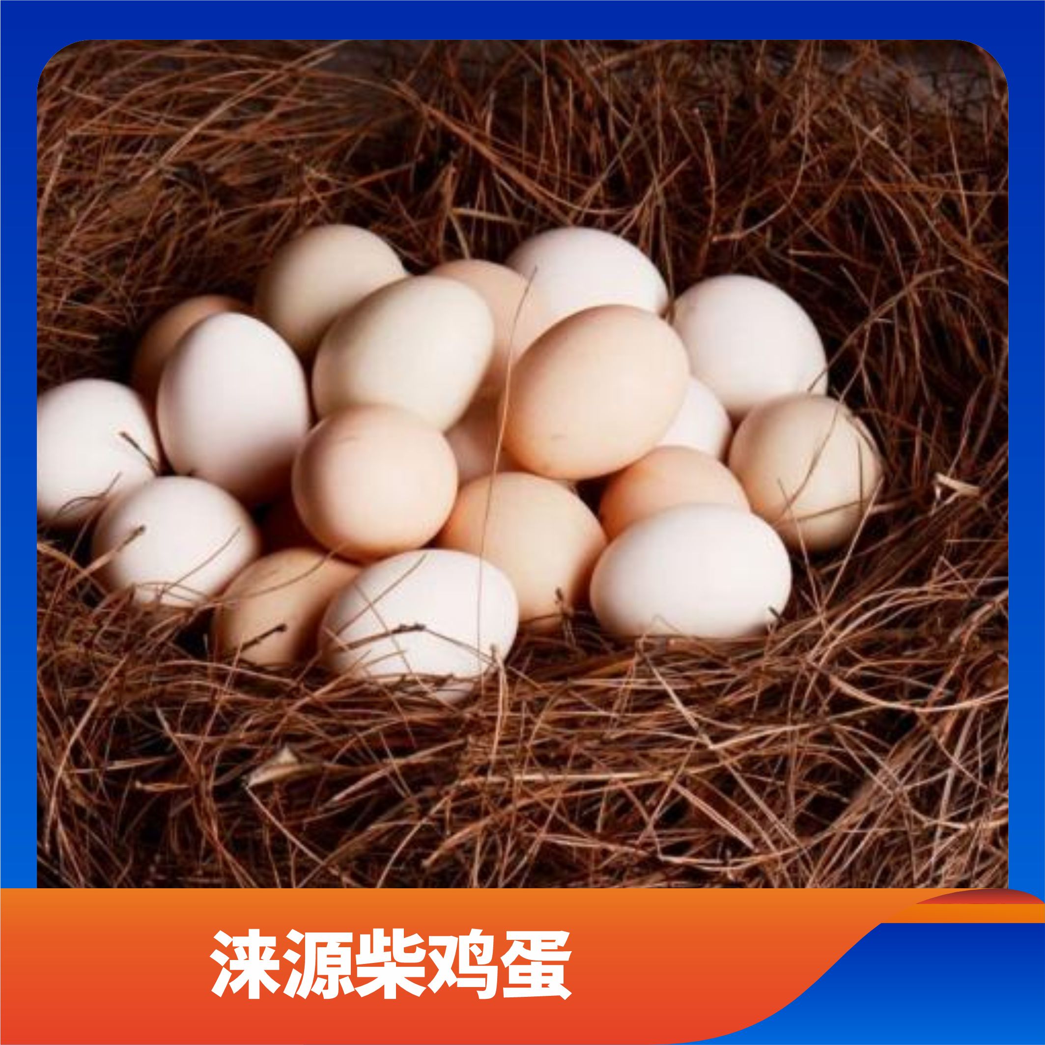 涞源柴鸡蛋/预售订购单