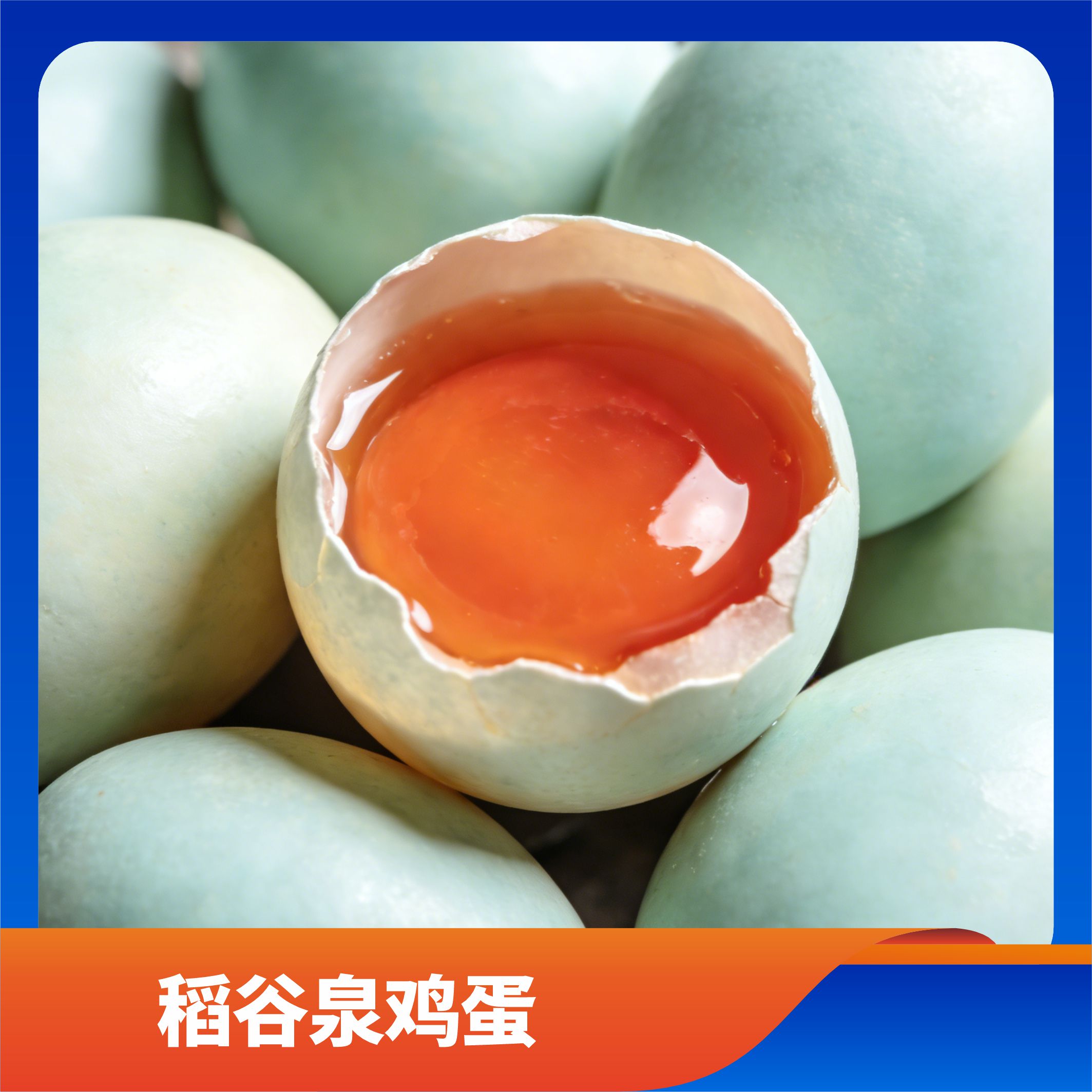 稻谷泉鸡蛋/预售订购单