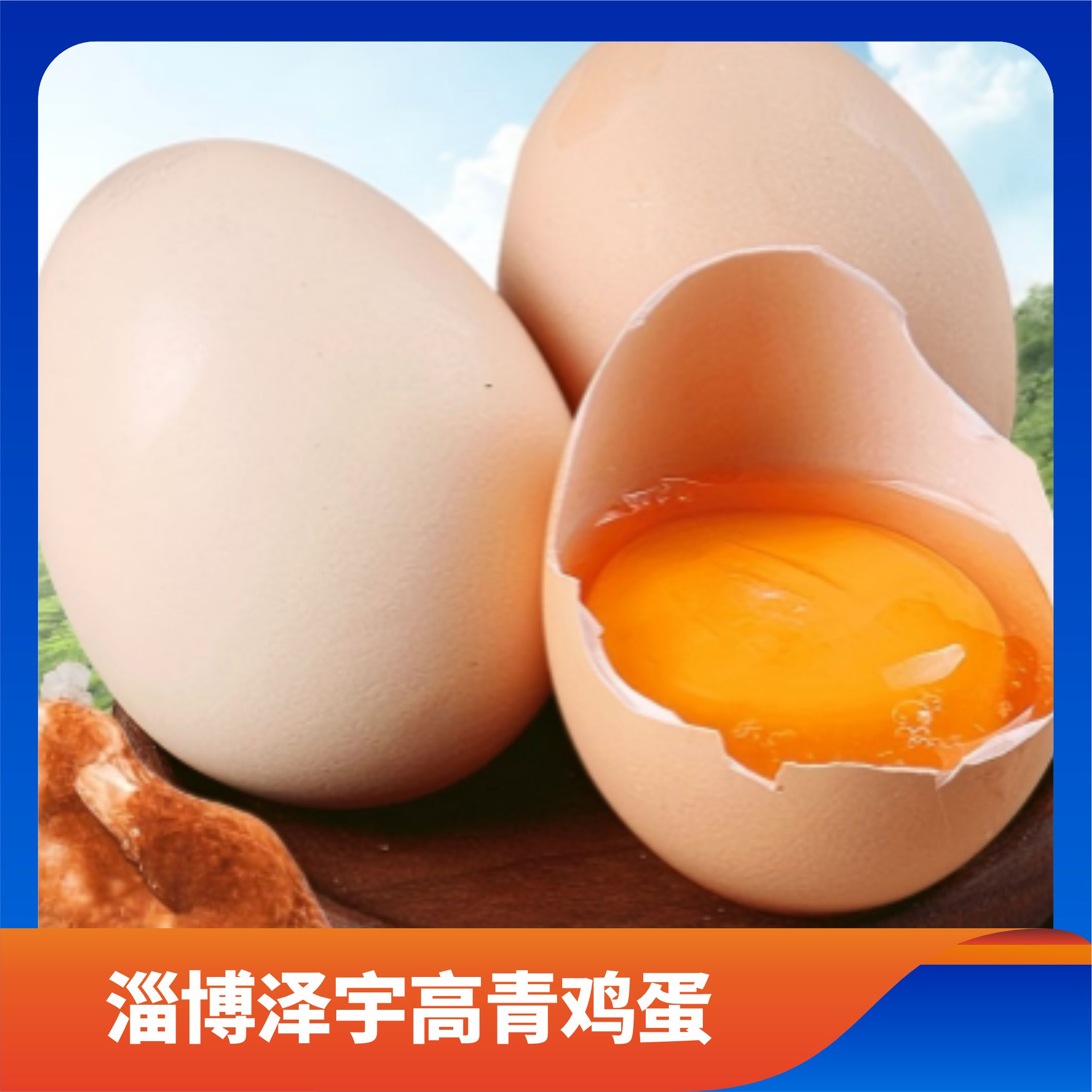 淄博泽宇高青鸡蛋/预售订购单
