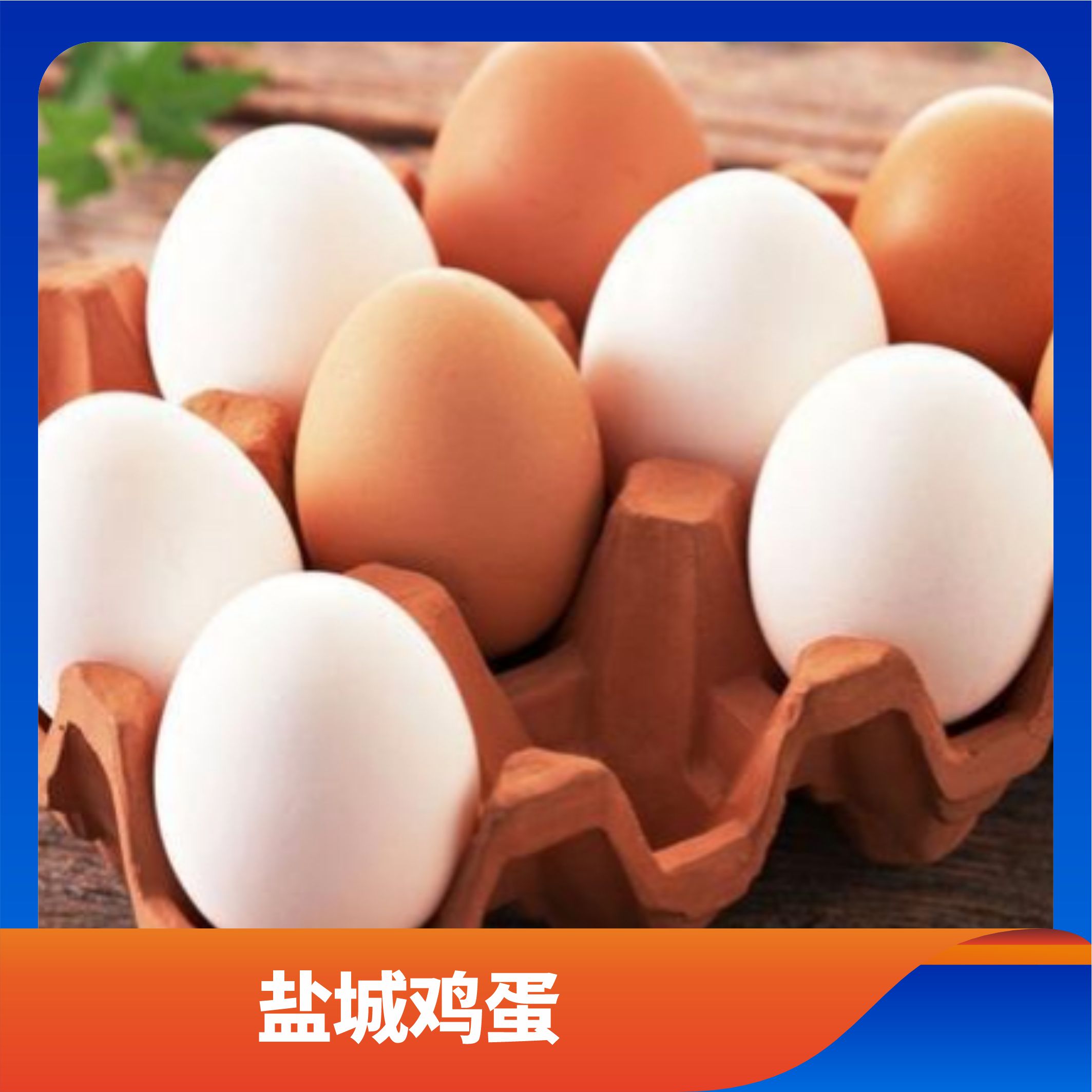 盐城鸡蛋/预售订购单