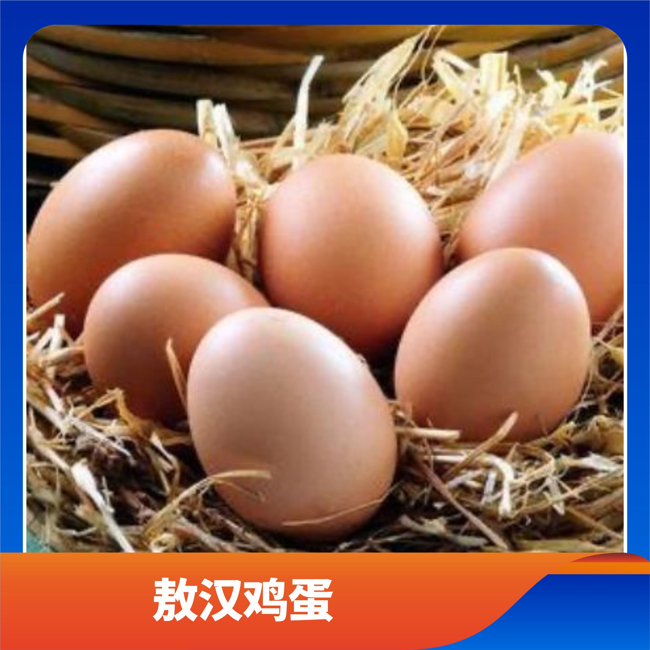 敖汉鸡蛋/预售订购单