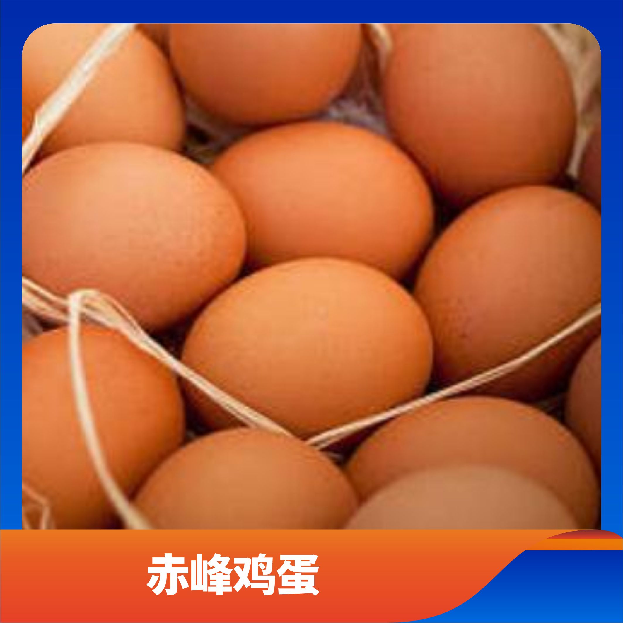 赤峰鸡蛋/预售订购单