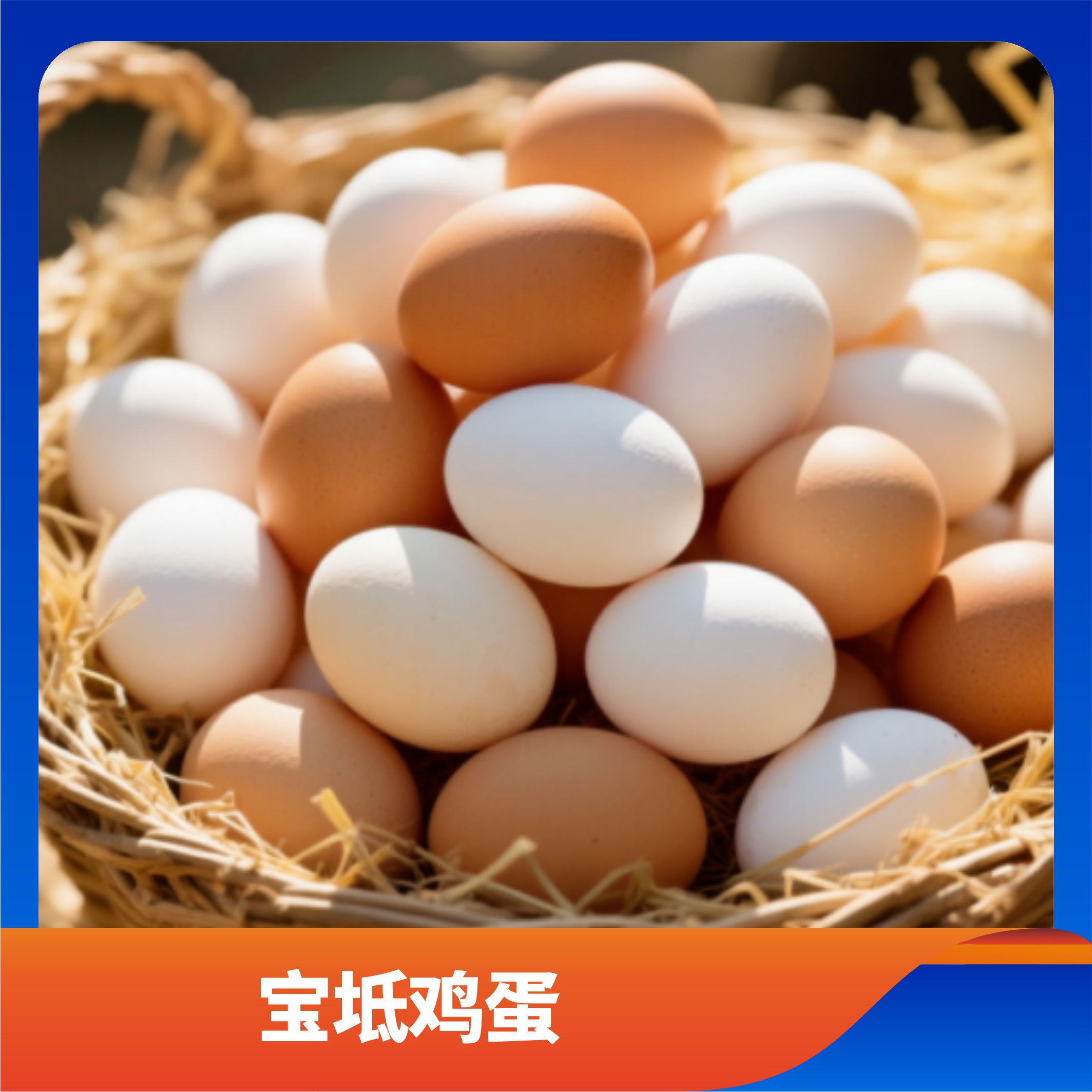 宝坻鸡蛋/预售订购单